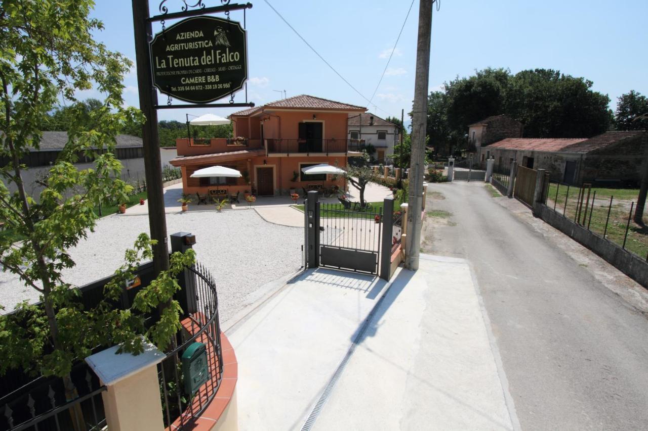 Azienda Agrituristica La Tenuta Del Falco Piedimonte San Germano Екстер'єр фото