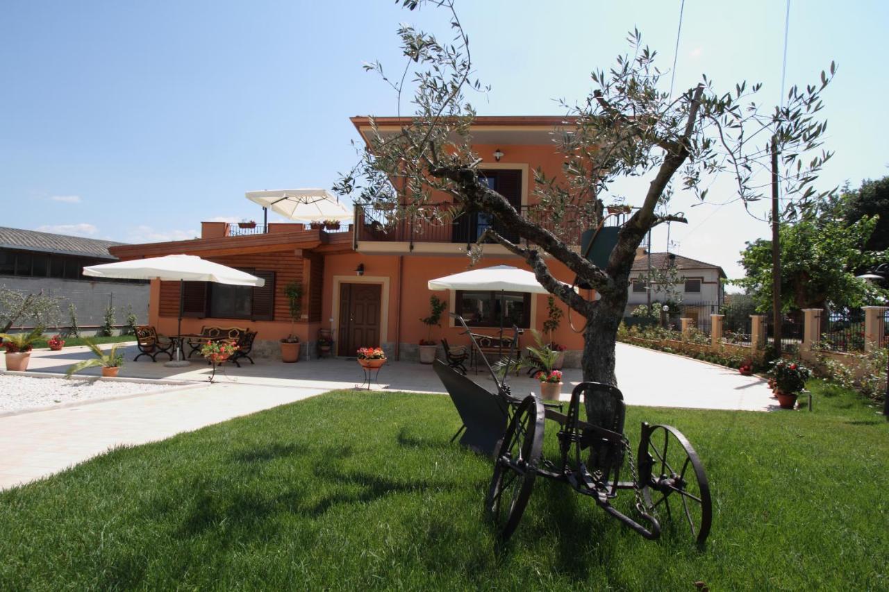 Azienda Agrituristica La Tenuta Del Falco Piedimonte San Germano Екстер'єр фото