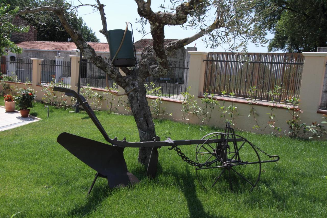 Azienda Agrituristica La Tenuta Del Falco Piedimonte San Germano Екстер'єр фото