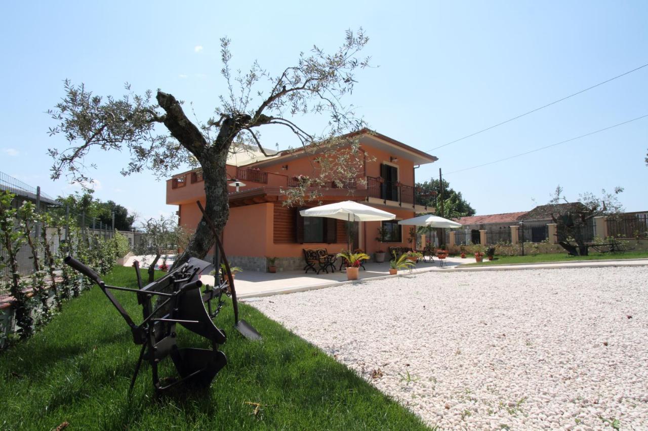 Azienda Agrituristica La Tenuta Del Falco Piedimonte San Germano Екстер'єр фото