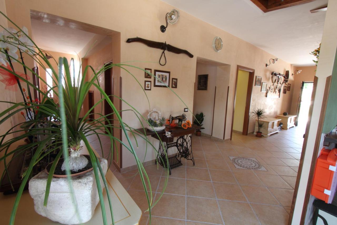 Azienda Agrituristica La Tenuta Del Falco Piedimonte San Germano Екстер'єр фото